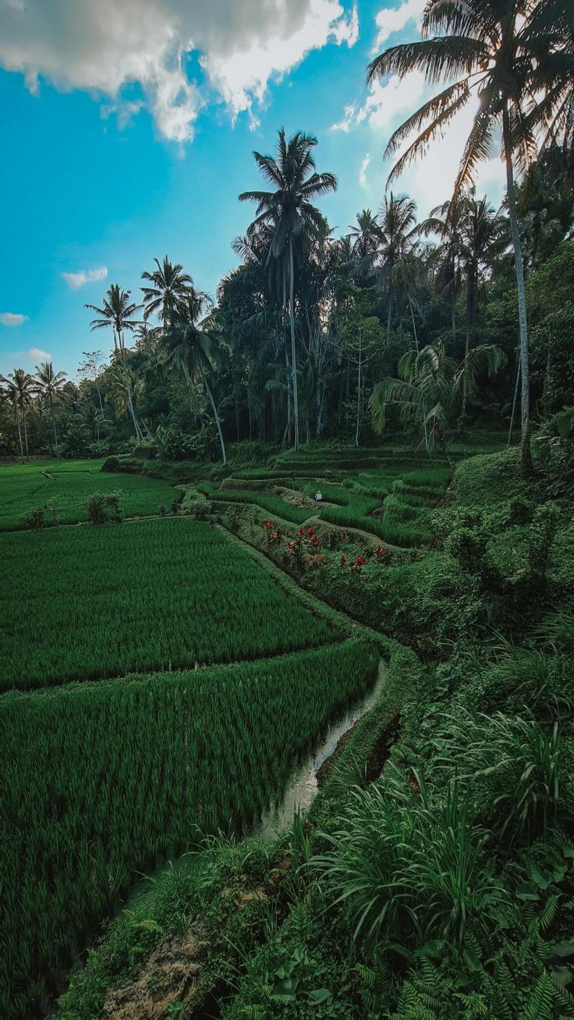 Tirta Sari Villa Tampaksiring Exterior photo